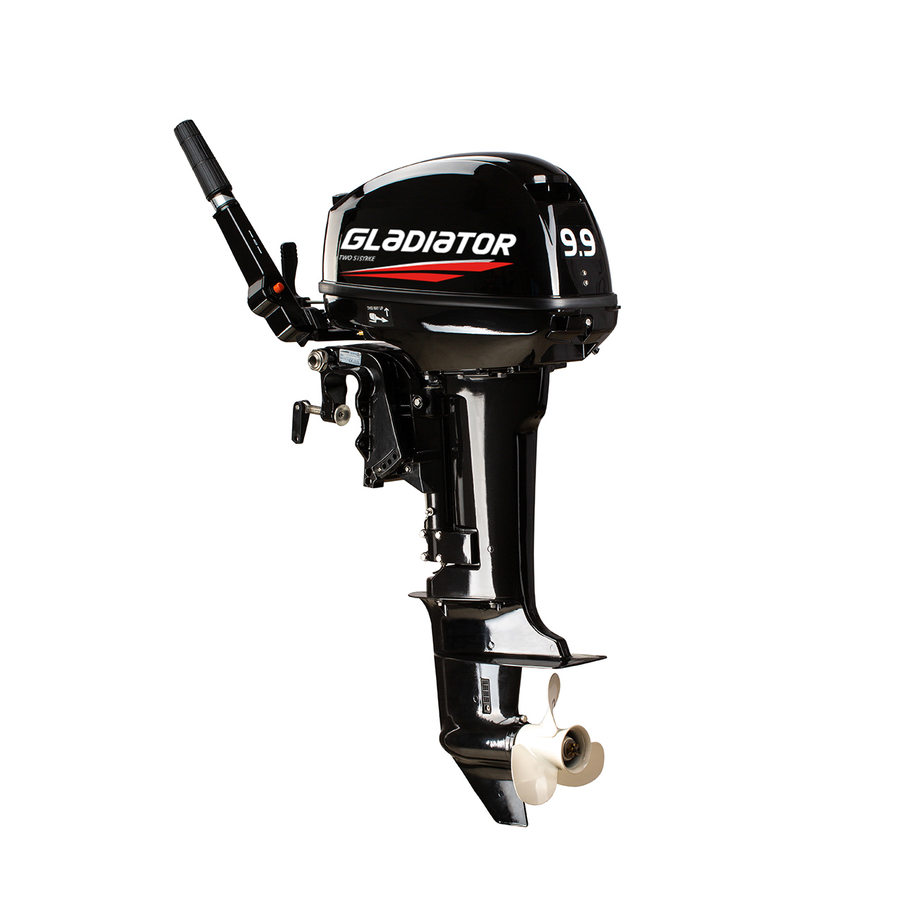 ЛОДОЧНЫЙ МОТОР GLADIATOR G9.9FHS в Уссурийске