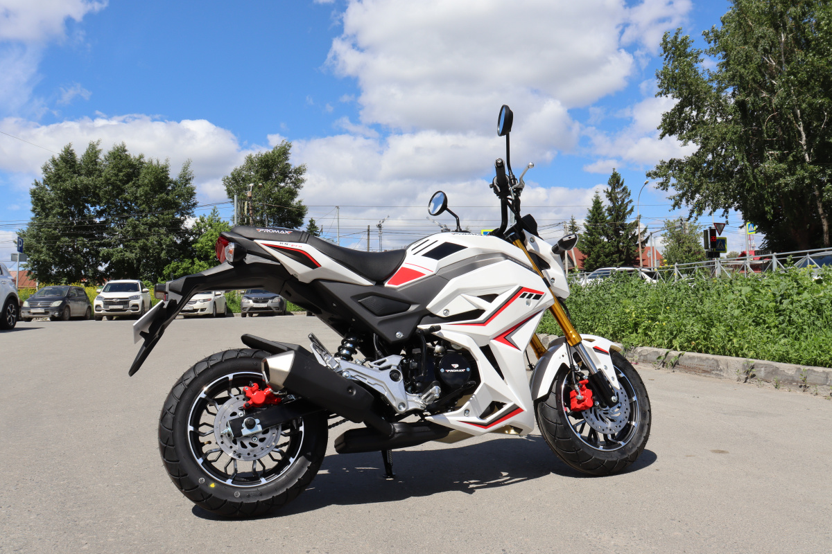 Мотоцикл PROMAX STRYKER 200(49) 2.0 в Уссурийске