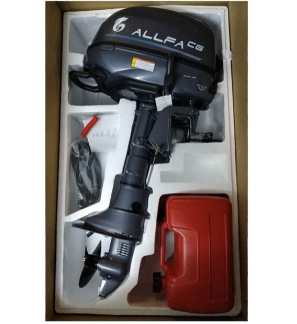 Лодочный мотор ALLFA CG F6 в Уссурийске