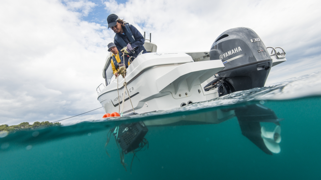 ЛОДОЧНЫЙ МОТОР YAMAHA F130 AETX в Уссурийске