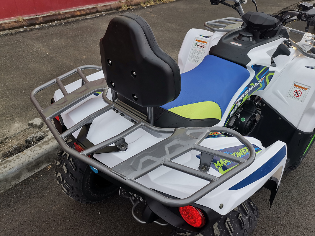 Квадроцикл PROMAX RENEGADE 280 LUX (2025) в Уссурийске