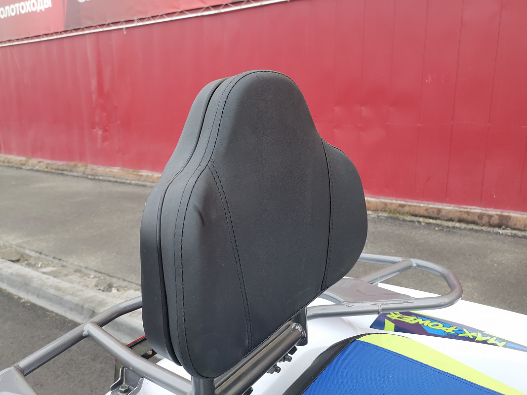 Квадроцикл PROMAX RENEGADE 280 LUX (2025) в Уссурийске