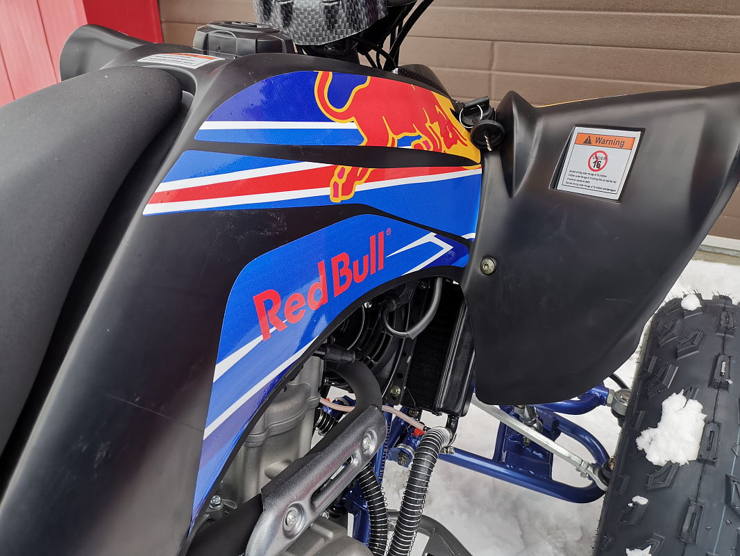 Квадроцикл PROMAX RAPTOR 300 NEW RedBull в Уссурийске