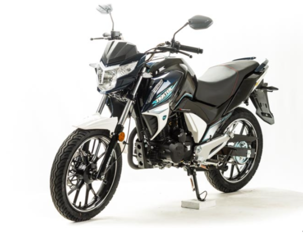 Мотоцикл MOTOLAND (МОТОЛЕНД) FIGHTER 250 в Уссурийске