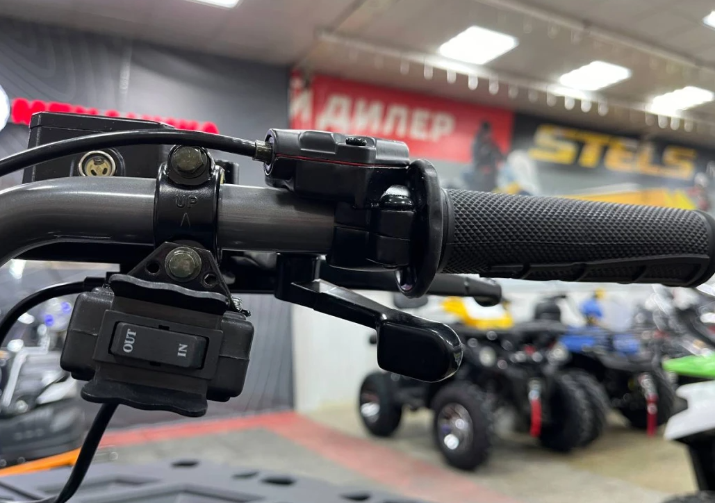 Квадроцикл PROMAX RENEGADE 300 LONG WINCH PRO (2025) в Уссурийске