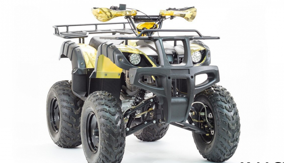 Квадроцикл MOTOLAND (МОТОЛЕНД) 250 ADVENTURE в Уссурийске