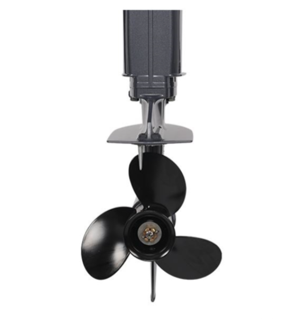 Лодочный мотор ALLFA CG Т40FW S в Уссурийске