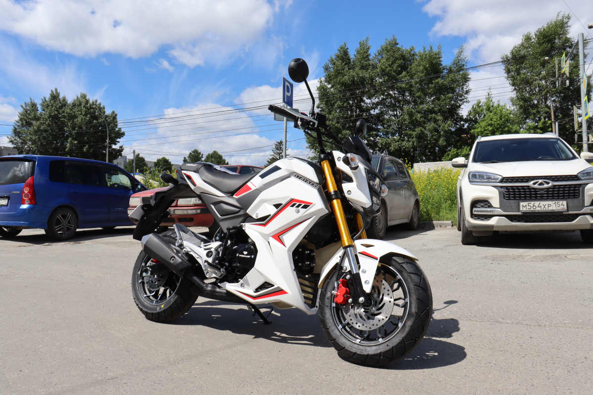 Мотоцикл PROMAX STRYKER 200(49) 2.0 в Уссурийске