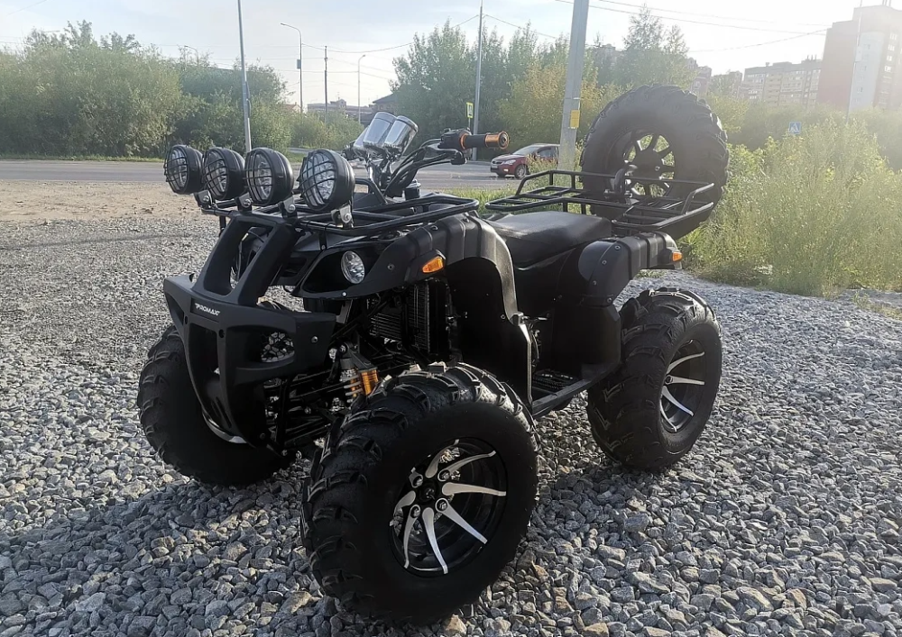 Квадроцикл PROMAX LEO 300 Max (кардан) в Уссурийске