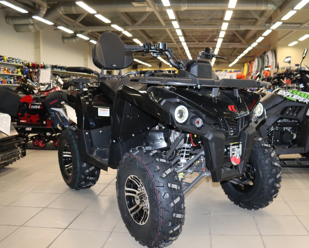 Квадроцикл PROMAX RENEGADE 300 LONG WINCH PRO (2025) в Уссурийске