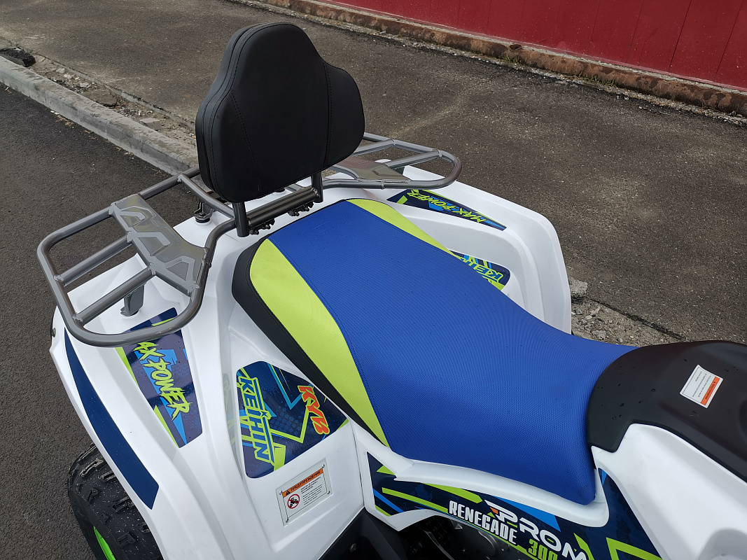 Квадроцикл PROMAX RENEGADE 280 LUX (2025) в Уссурийске