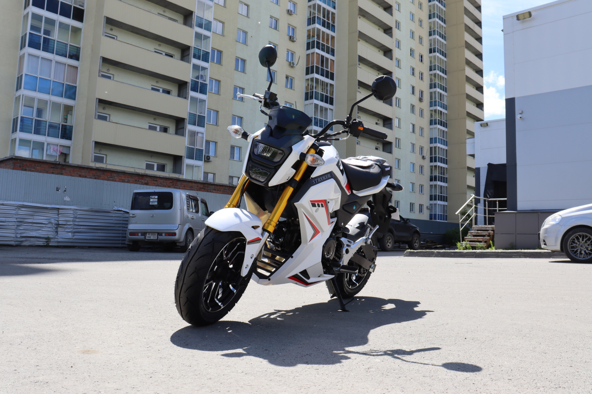 Мотоцикл PROMAX STRYKER 200(49) 2.0 в Уссурийске