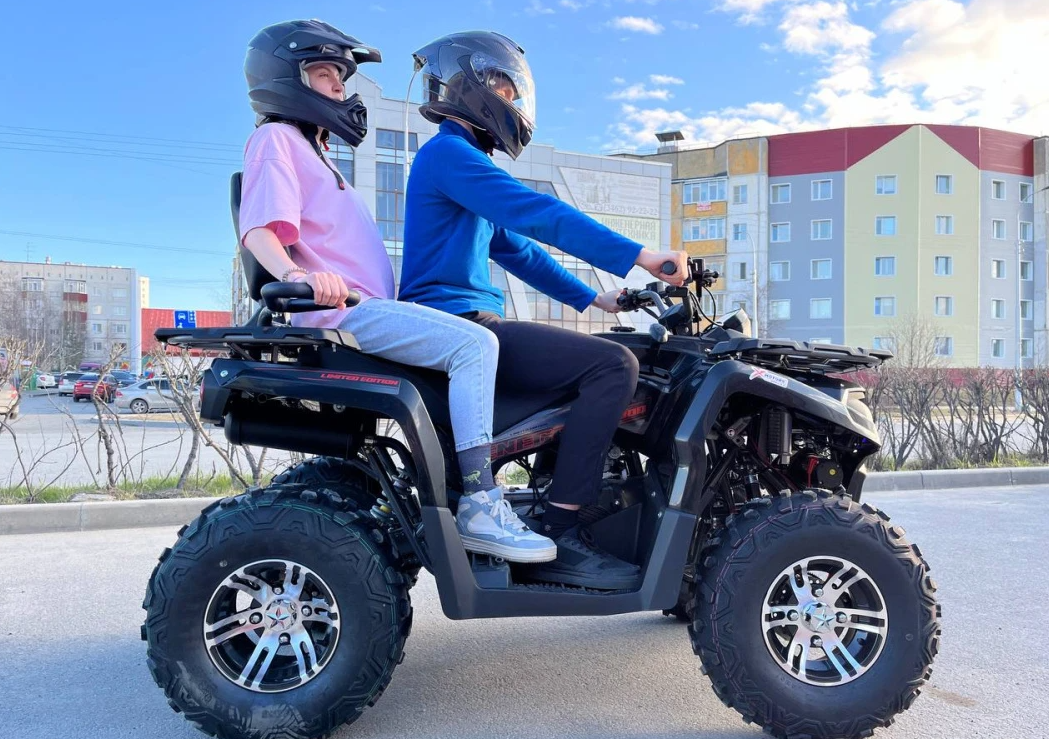 Квадроцикл PROMAX RENEGADE 300 LONG WINCH PRO (2025) в Уссурийске