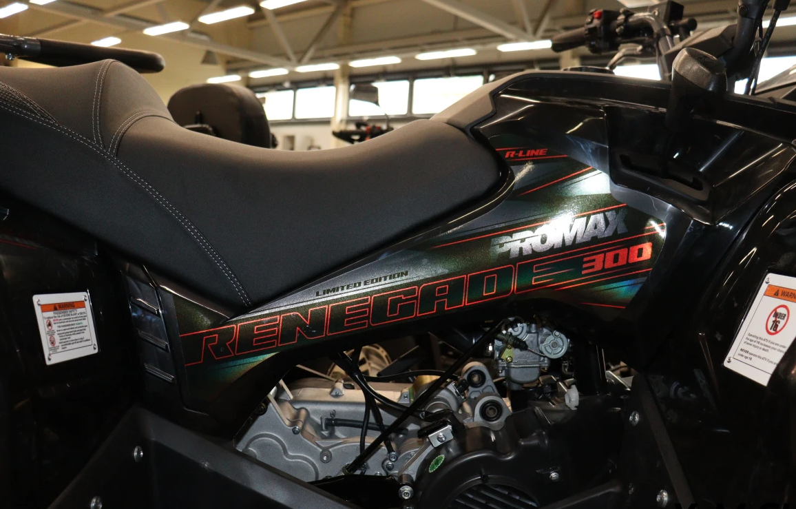 Квадроцикл PROMAX RENEGADE 300 LONG WINCH PRO (2025) в Уссурийске