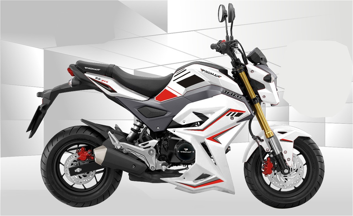 Мотоцикл PROMAX STRYKER 200(49) 2.0 в Уссурийске