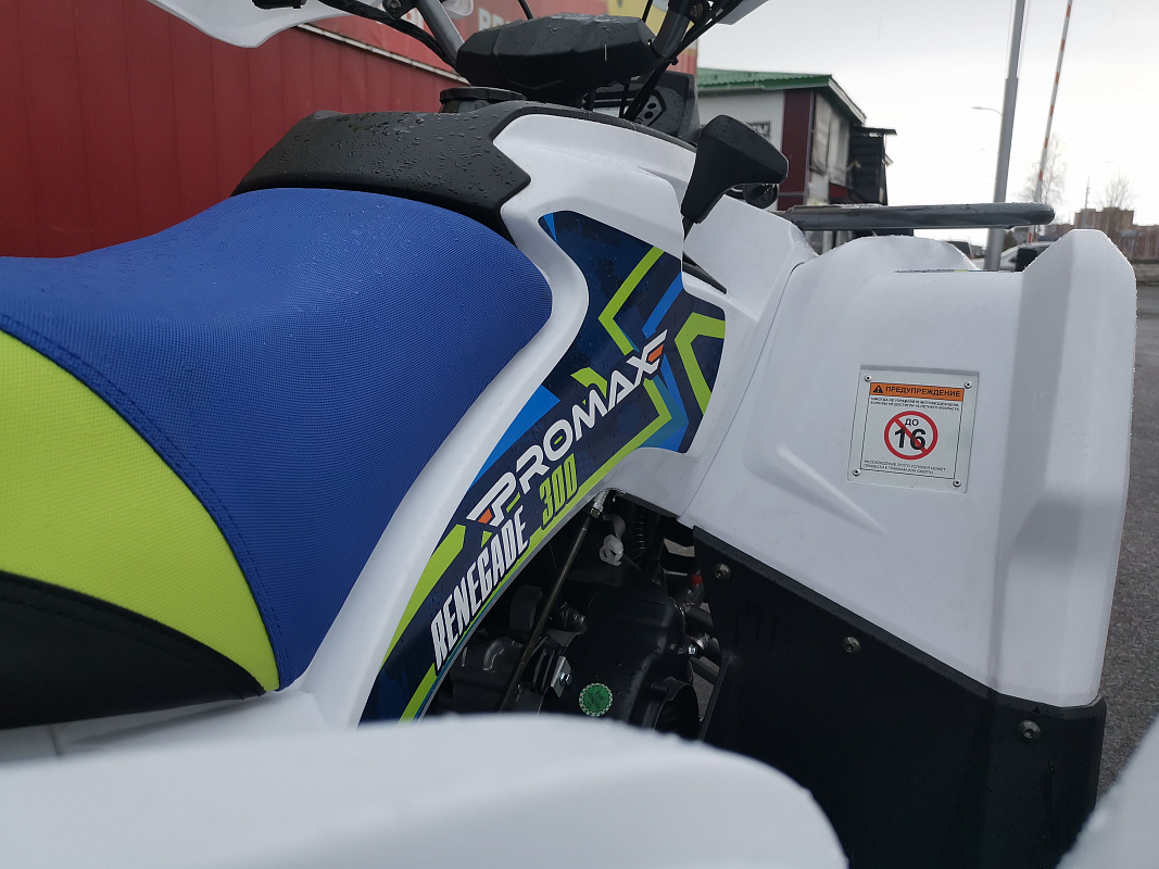 Квадроцикл PROMAX RENEGADE 280 LUX (2025) в Уссурийске
