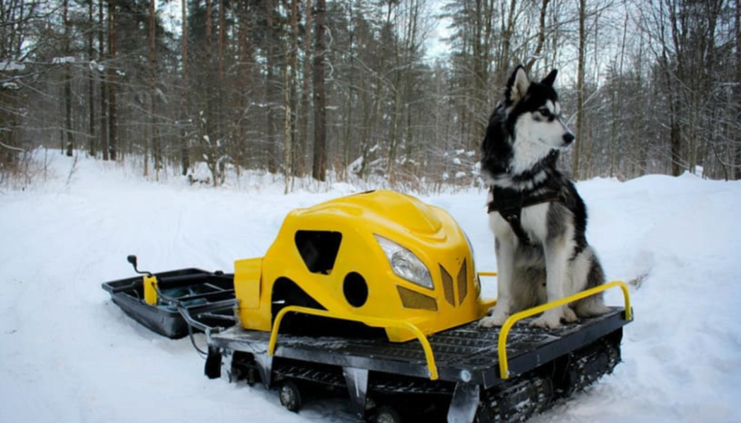 Мотобуксировщик LEBEDEV MOTORS ВОЛКОДАВ POWER V13 в Уссурийске