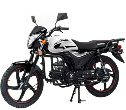 Мопед MOTOLAND (МОТОЛЕНД) Альфа RS 11 (LM48-B) в Уссурийске