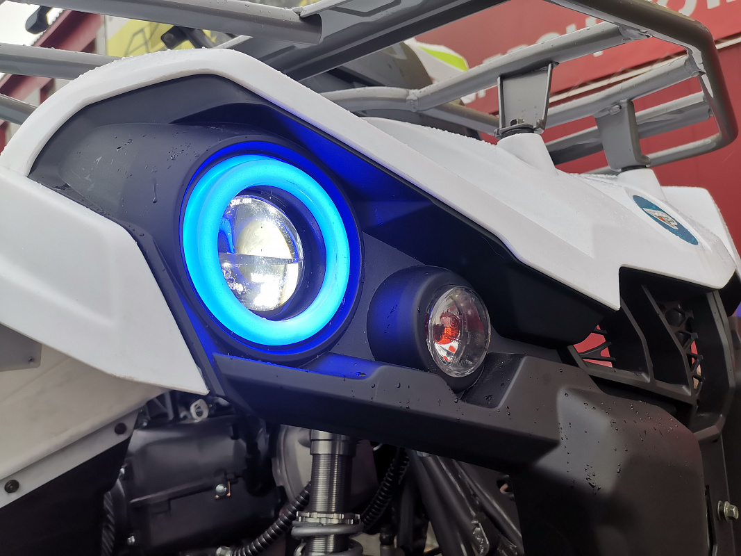 Квадроцикл PROMAX RENEGADE 280 LUX (2025) в Уссурийске