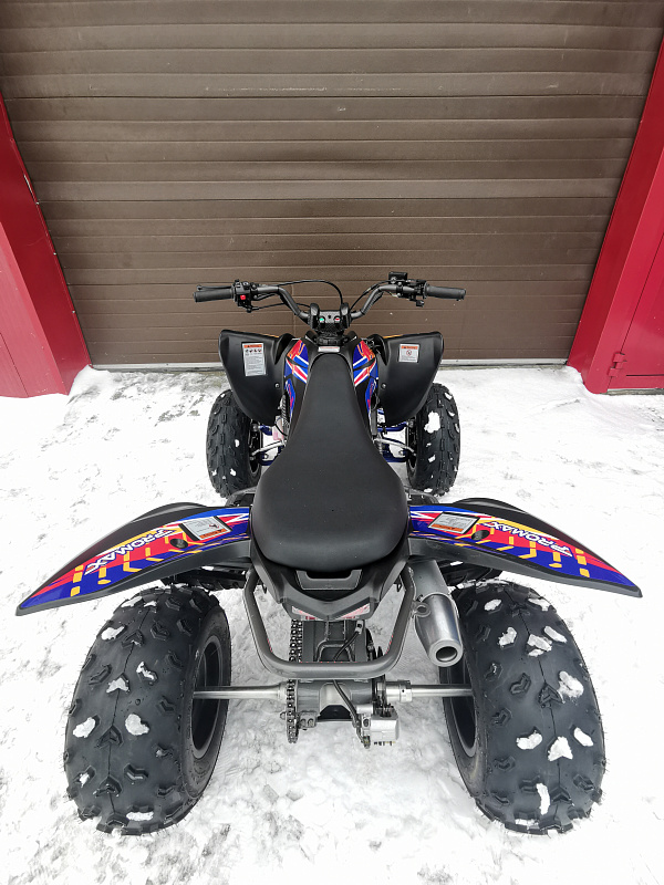 Квадроцикл PROMAX RAPTOR 300 NEW RedBull в Уссурийске