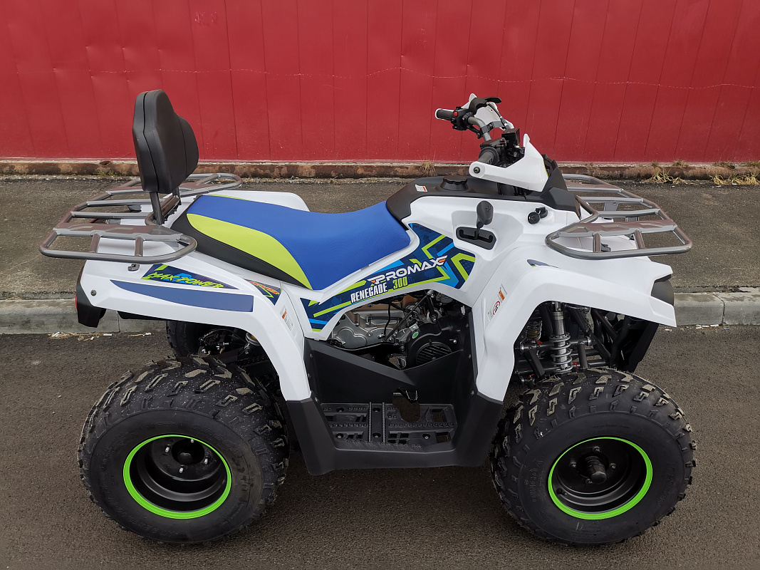 Квадроцикл PROMAX RENEGADE 280 LUX (2025) в Уссурийске
