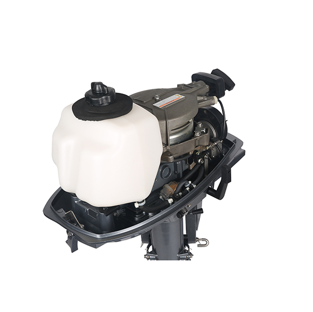 ЛОДОЧНЫЙ МОТОР ALLFA CG T5 в Уссурийске