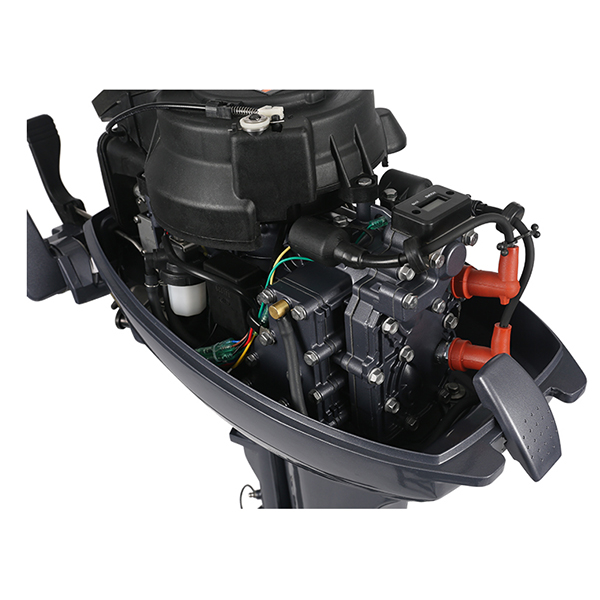 ЛОДОЧНЫЙ МОТОР ALLFA CG Т9,9 в Уссурийске