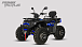 Квадроцикл PROMAX TAURUS 300 MAX-PRO LONG в Уссурийске
