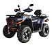 Квадроцикл MOTOLAND (МОТОЛЕНД) 300 MAX X в Уссурийске