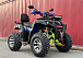  Квадроцикл PROMAX ATV 250 MAX (2025) в Уссурийске