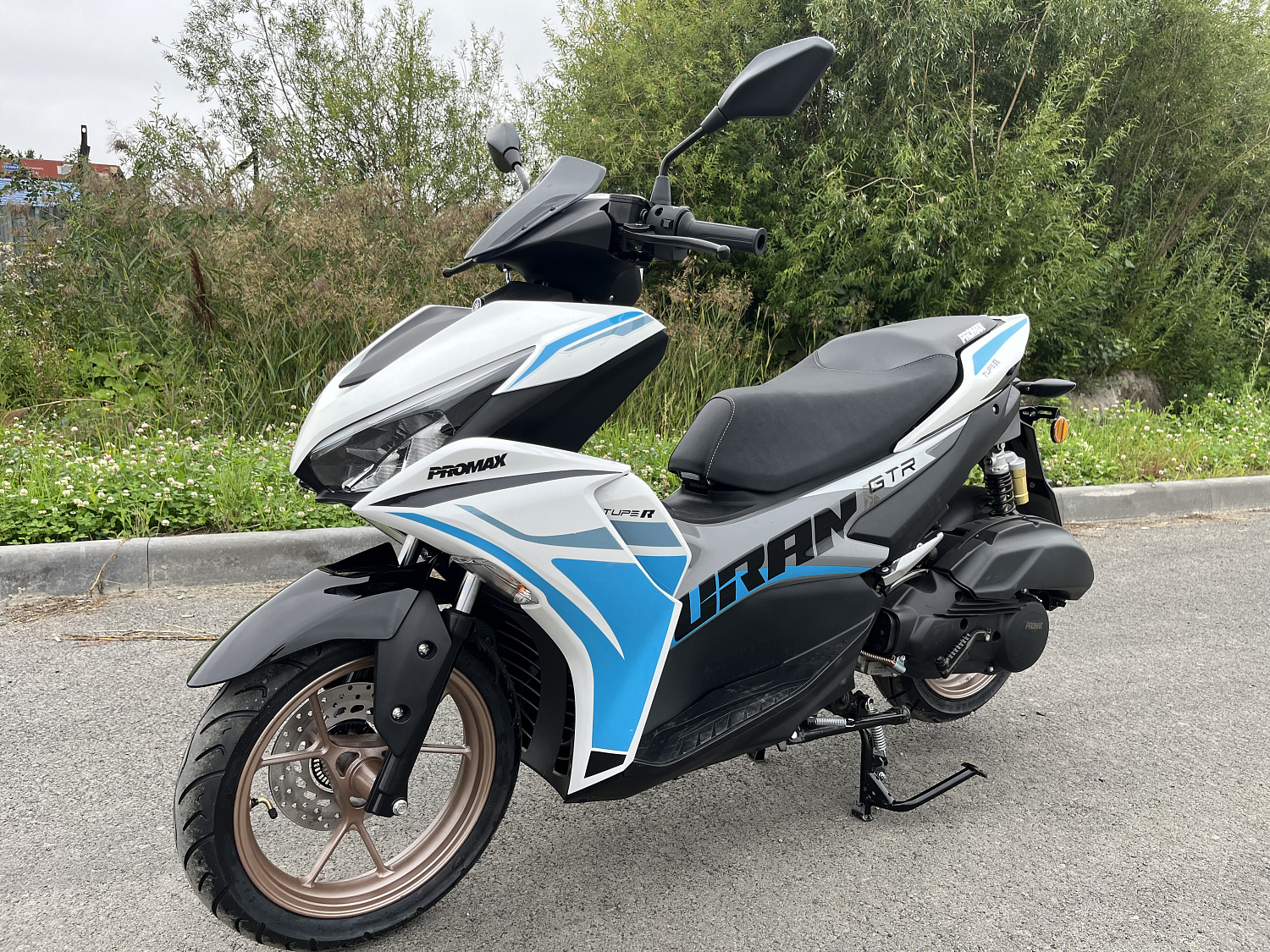 Скутер PROMAX TURAN 250 (49) в Уссурийске