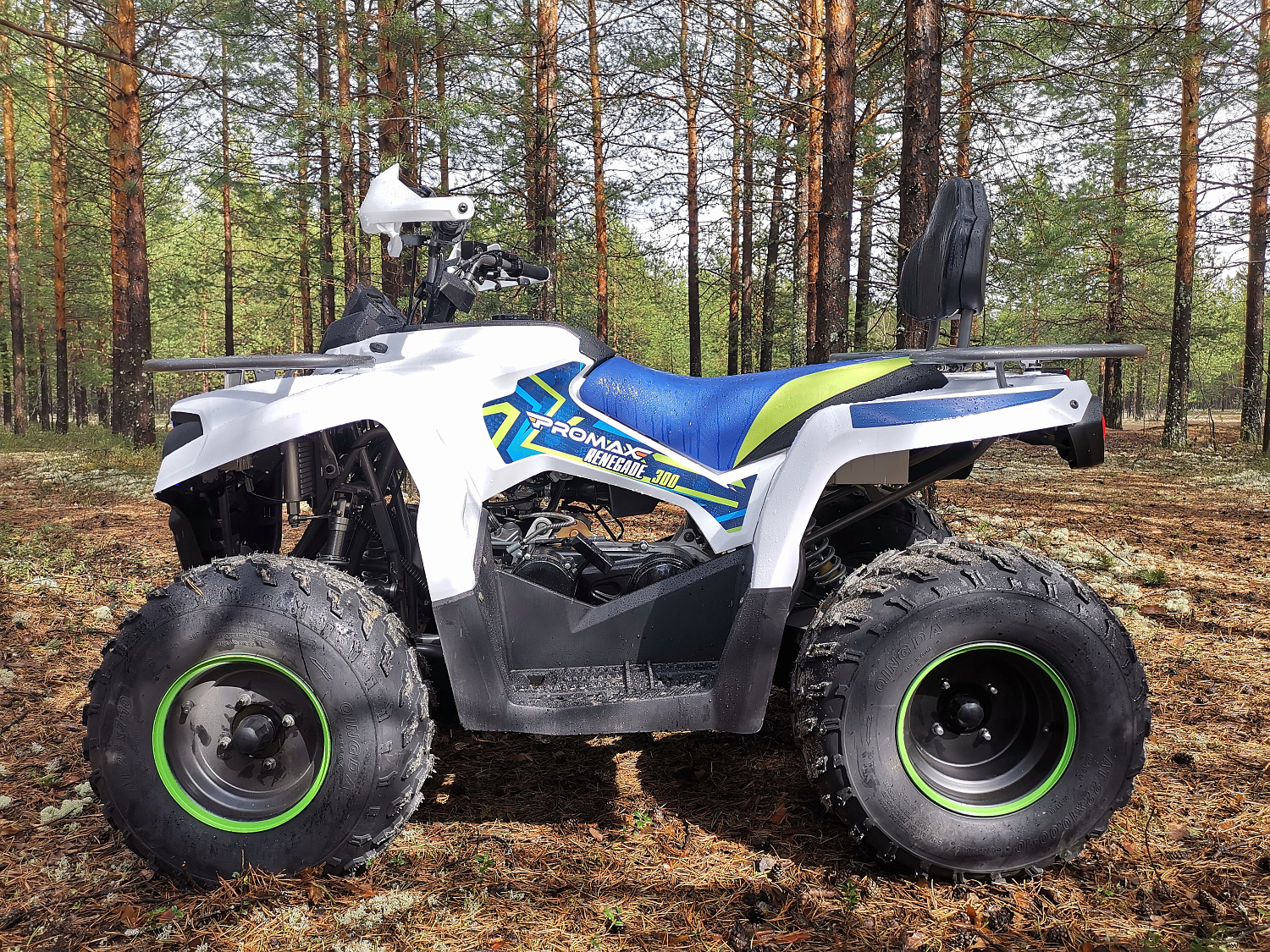 Квадроцикл PROMAX RENEGADE 280 (2025) в Уссурийске