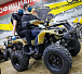 Квадроцикл PROMAX ATV 250 (2025) в Уссурийске