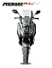 МаксиСкутер PROMAX-HONDA ADV 150 (49) EFI (Inspired by HONDA) в Уссурийске