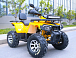 Квадроцикл MOTOLAND (МОТОЛЕНД) VOX200 WILD TRACK X PRO (баланс. вал) в Уссурийске