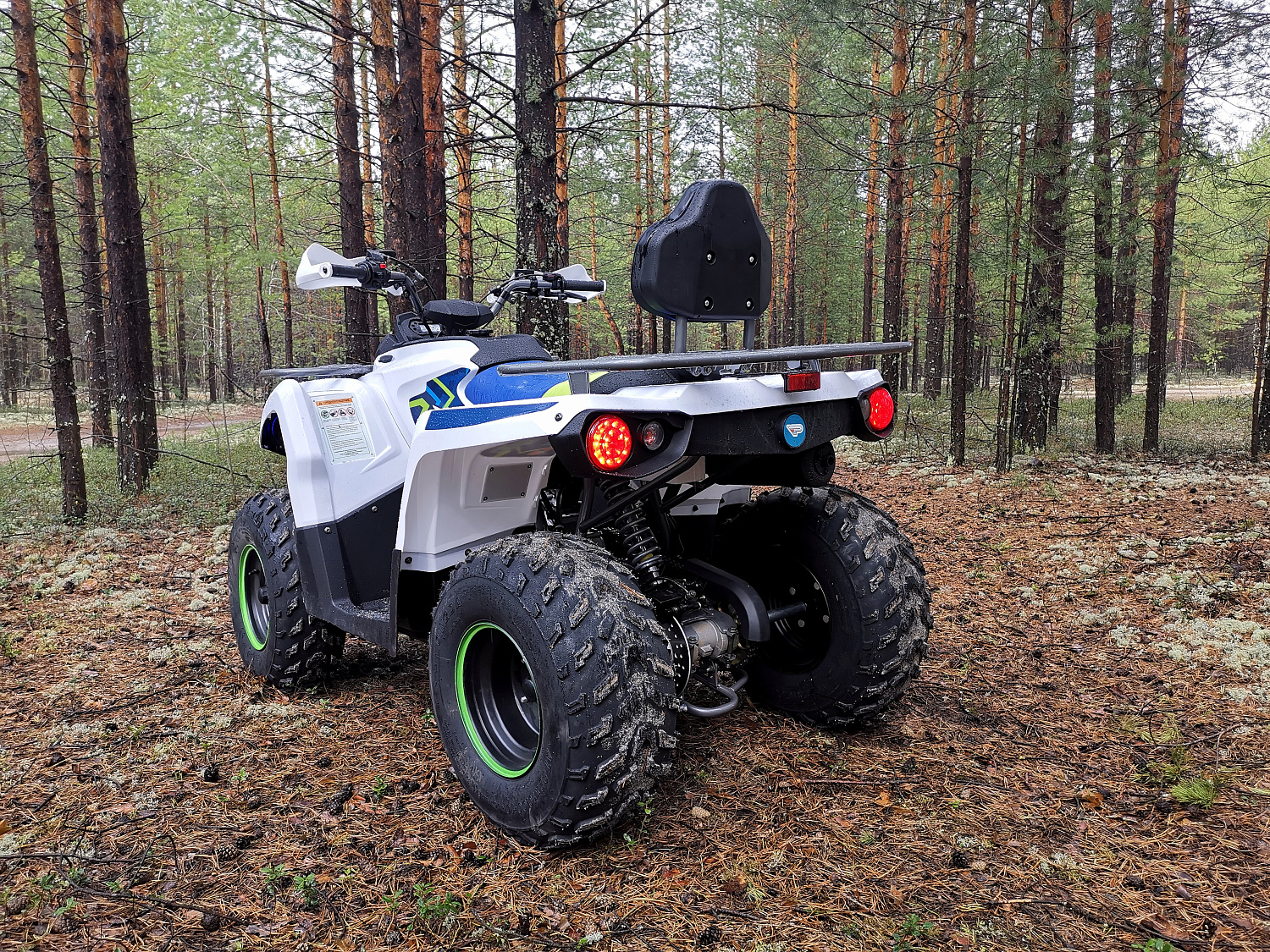 Квадроцикл PROMAX RENEGADE 280 (2025) в Уссурийске