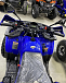Квадроцикл PROMAX WILD 2.0 190 PRO (2025) в Уссурийске