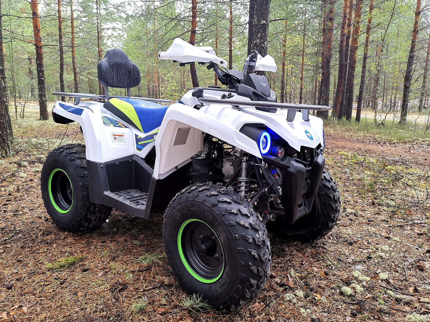 Квадроцикл PROMAX RENEGADE 280 (2025) в Уссурийске