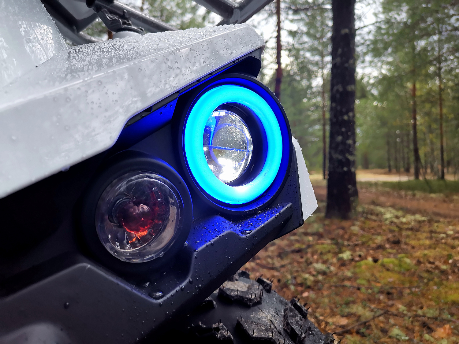 Квадроцикл PROMAX RENEGADE 280 (2025) в Уссурийске