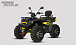 Квадроцикл PROMAX TAURUS 300 MAX-PRO LONG в Уссурийске